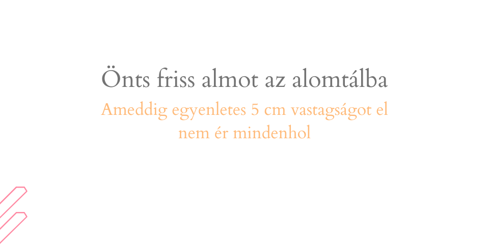 "Figyeld az alom színváltását, és ellenőrizd macskád egészségét könnyedén minden nap" – kaméleon illusztrációval és lefelé mutató nyíllal