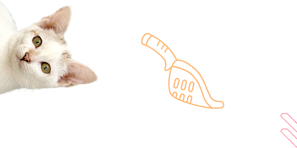 Fehér macska alomlapát illusztrációval
