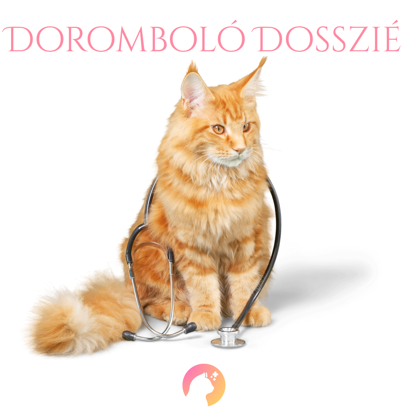 A macskák vizeletének pH értéke: Mit jelent és miért fontos?